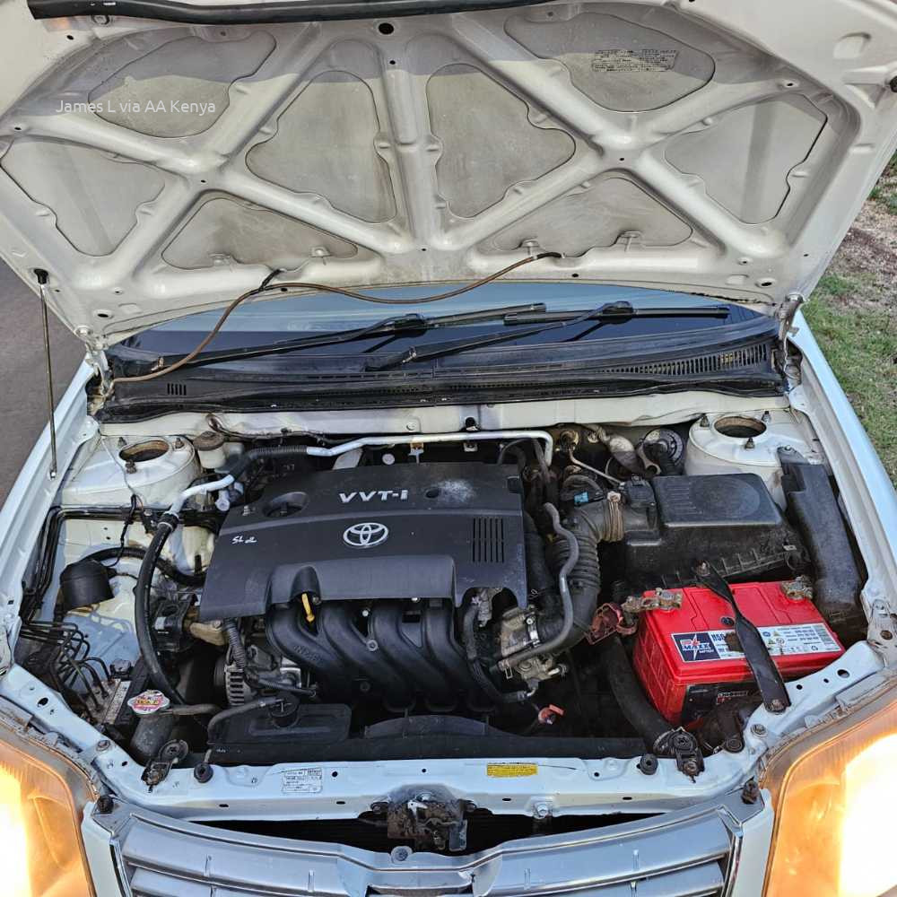 2006 TOYOTA COROLLA