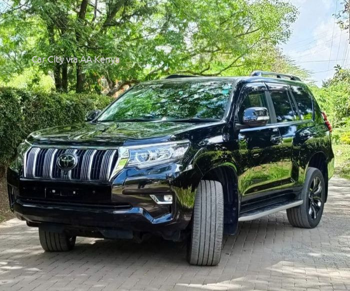 2018 TOYOTA LANDCRUISER