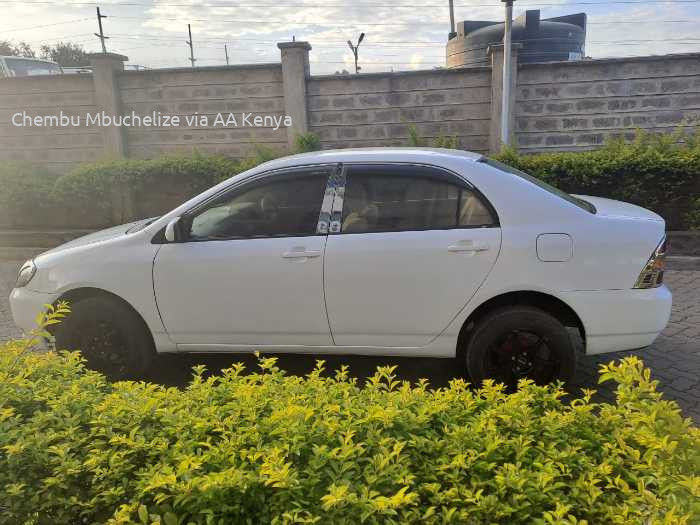 2005 TOYOTA COROLLA